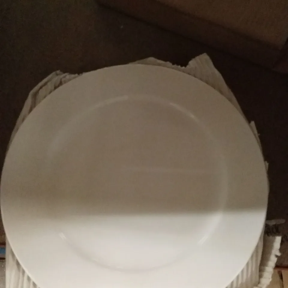 LUMINA FINE CHINA WIDE RIMMED ROUND PLATES 