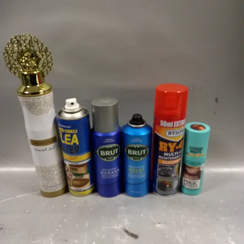 APPROXIMATELY 15 ASSORTED AEROSOLS TO INCLUDE RY-40, BRUT DEODORANT, FLEA KILLER ETC - COLLECTION ONLY 