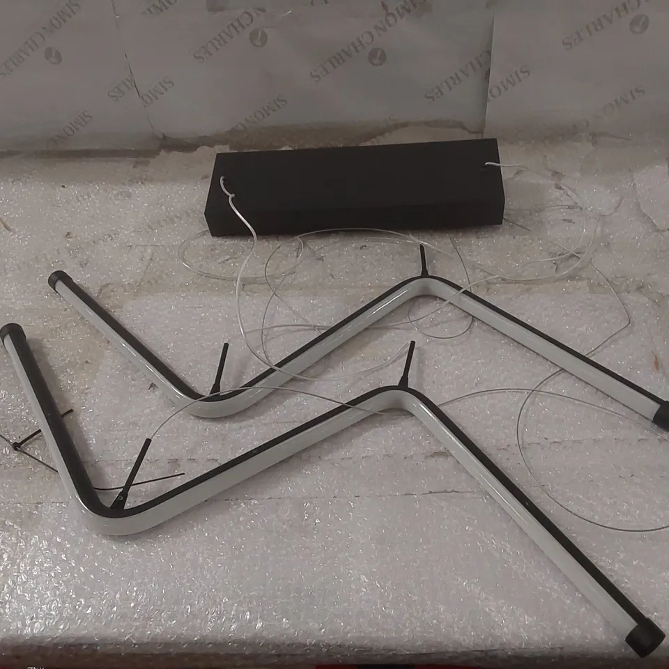 DESIGNER 2-LIGHT CEILING LIGHT