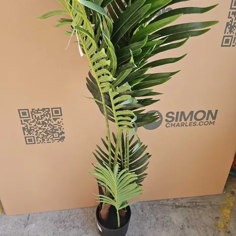 PLASTIC PLANT