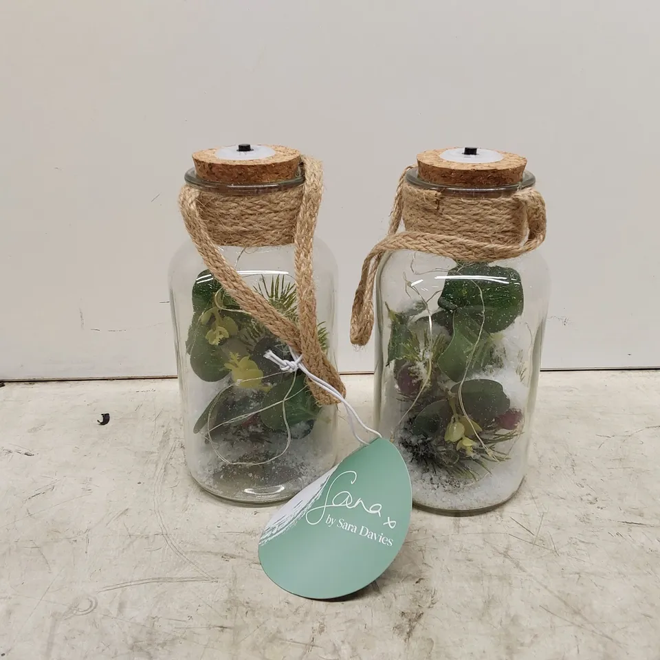 BOXED SARAH DAVIES SET OF 2 PRE LIT FOLIAGE GLASS JARS (1 BOX)