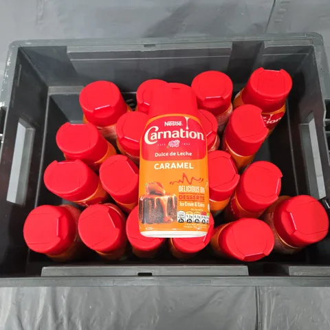 15 NESTLE CARNATION DULCE DE LECHE CARAMEL 450G 