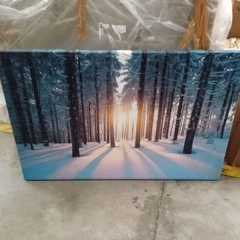 LIGHT THROUGH SNOW COVERED TREES - WRAPPED CANVAS PRINT