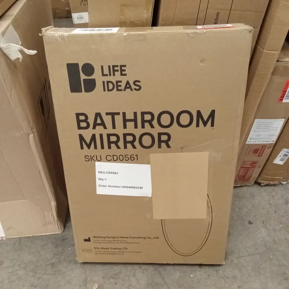 BOXED LIFE IDEAS OBLIQUE OVAL BATHROOM MIRROR 40cm x 60cm