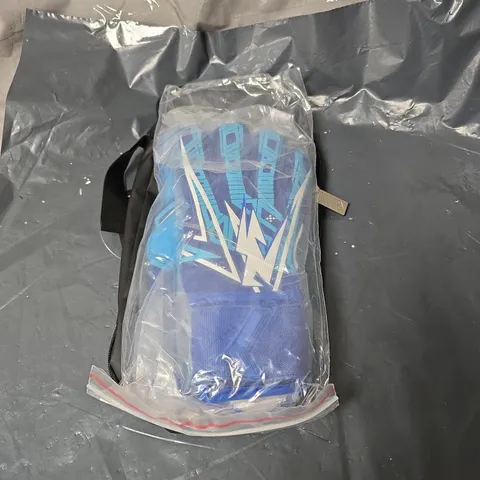 KALIAAER BLUE/DARK BLUE FOOTBALL GOALKEEPER GLOVES IN BLACK CARRY CASE