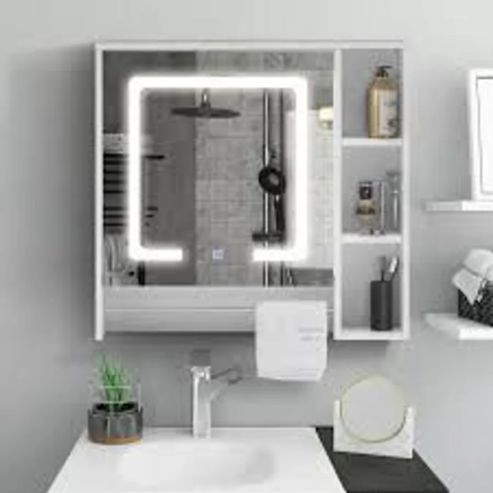 TAVION BATHROOM MIRROR CABINET WITH LIGHTS [1 DOOR+3 SHELVES]