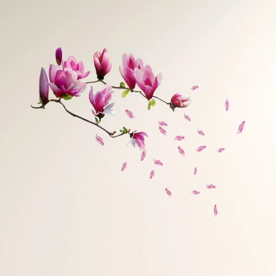 BOXED LOT OF 2 MAGNOLIA WALL STICKERS PACK
