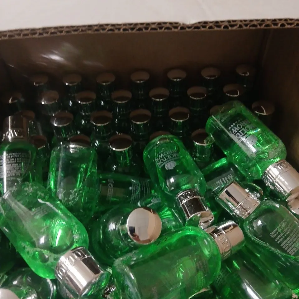 BOX OF APPROXIMATELY 80 X MOLTEN BROWN FRESHMINT MOUTHWASH - 50ML