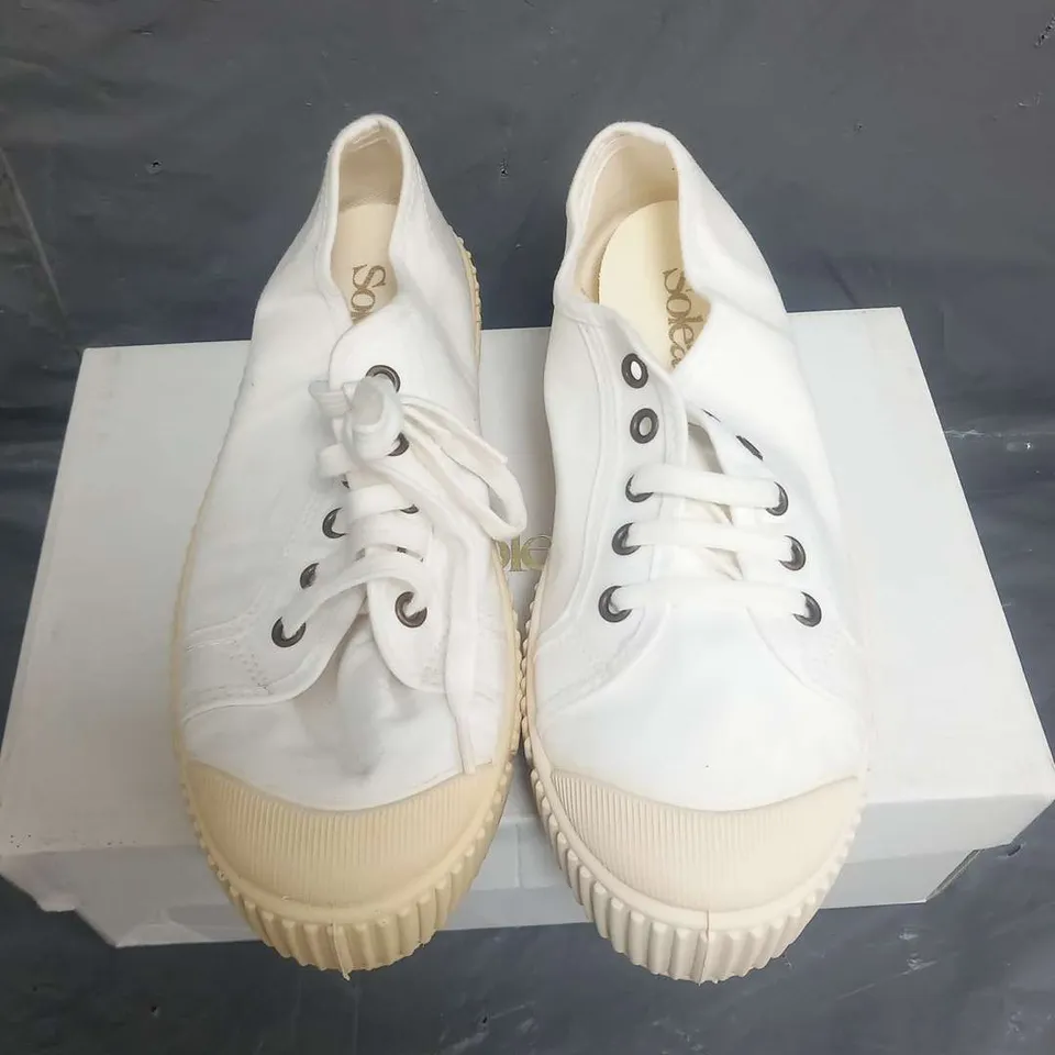 BOXED SOLEA BUMP BONE CANVAS SNEAKERS SIZE 37