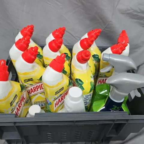 APPROXIMATELY 10 ASSORTED HOUSEHOLD ITEMS TO INCLUDE MOULD BLAST, HARPIC AND MILDEW REMOVER