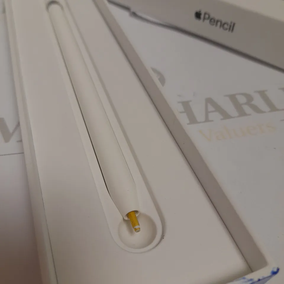 APPLE PENCIL 10TH GEN