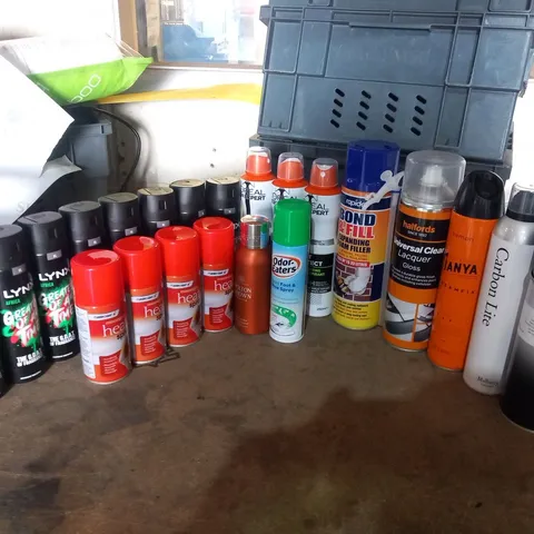 APPROXIMATELY 22 ASSORTED AEROSOL SPRAYS TO INCLUDE; MASTERPLAST, LYNX, LOREAL, HALFORDS AND RAPIDE