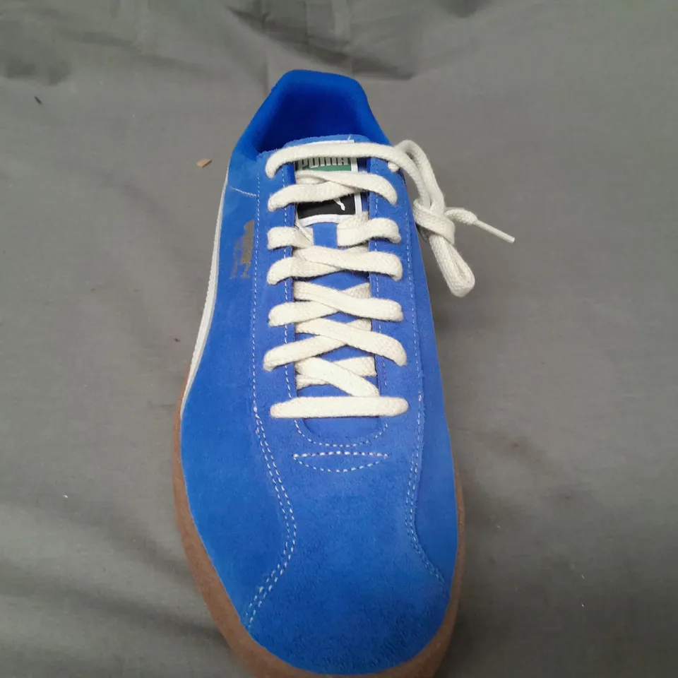 BOXED PAIR OF PUMA DOLPHIN SHOES IN ROYAL SAPPHIRE UK SIZE 7