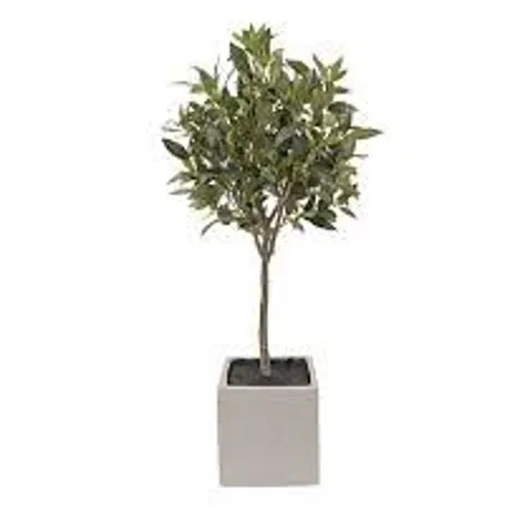 K BY KELLY HOPPEN FAUX OLIVE INDOOR OUTDOOR TREE IN POT