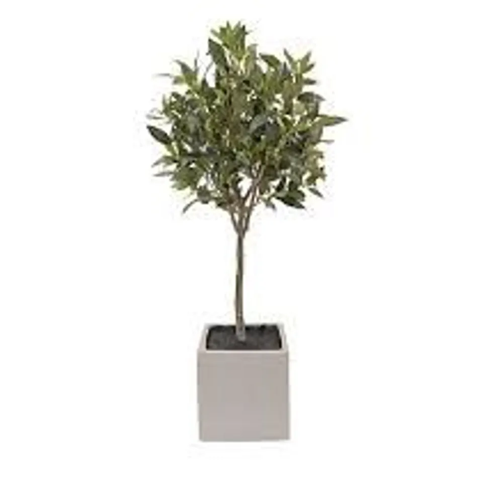 K BY KELLY HOPPEN FAUX OLIVE INDOOR OUTDOOR TREE IN POT