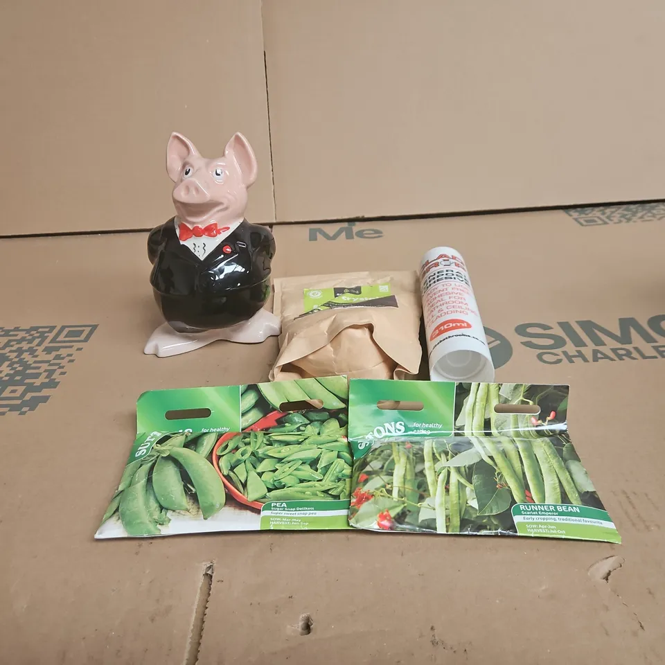 TOTE OF APPROXIMATELY 15 ASSORTED ITEMS TO INCLUDE PIGGY BANK, SODA CRYSTALS, CLAD GRIP, SUTTONS SEEDS ETC
