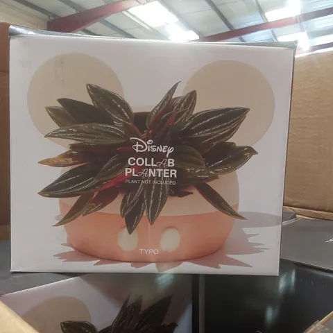 PALLET CONTAINING APPROXIMATELY 270x BRAND NEW TYPO DISNEY COLLAB PLANTERS