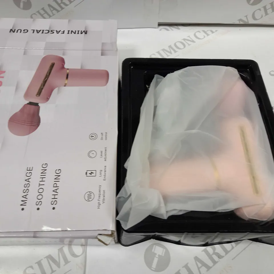 BOXED IURUJIA MINI FACIAL GUN DS-128