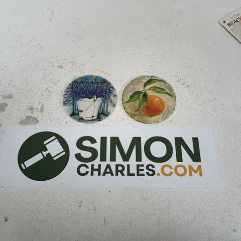 TWO ROUND CERAMIC COASTERS WITH BOTANICAL PLANT AND ORANGE DESIGNS