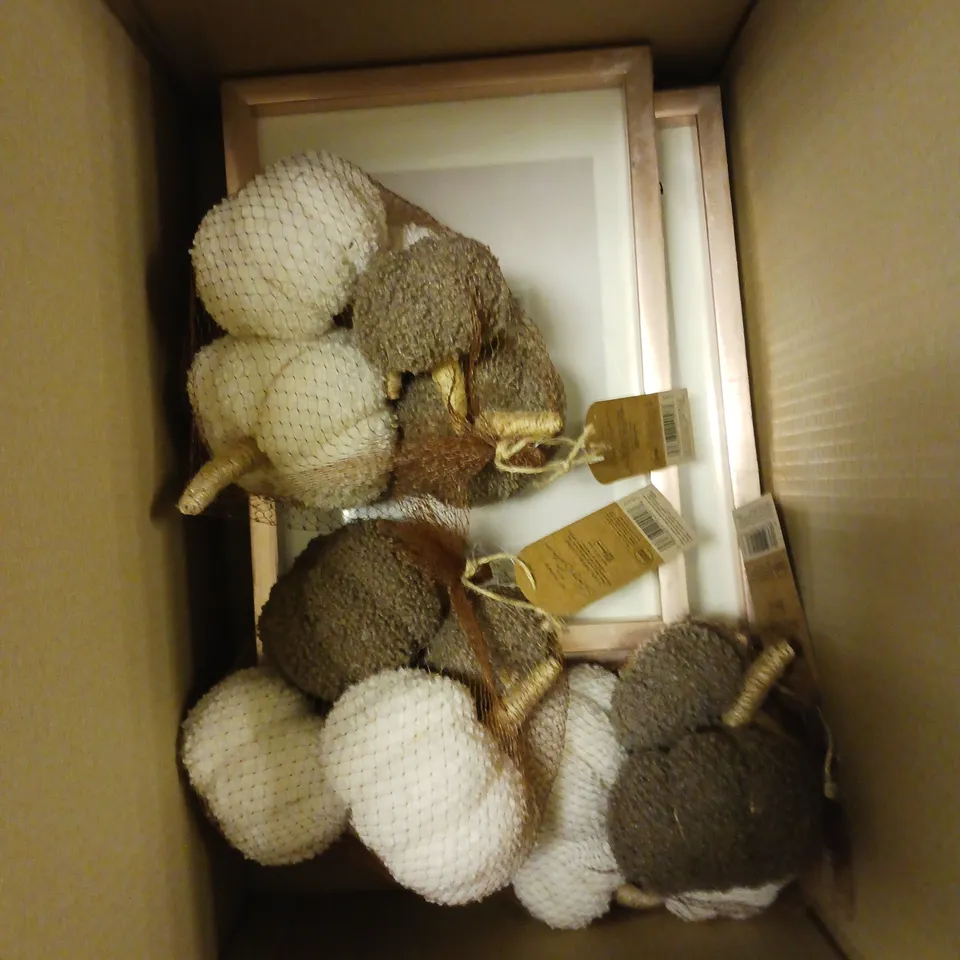 APPROXIMATELY 15 ASSORTED HOMEWARE PRODUCTS TO INCLUDE MINI LIGHT UP TREE, PHOTO FRAMES, DECORATIVE PUMPKINS ETC - COLLECTION ONLY 