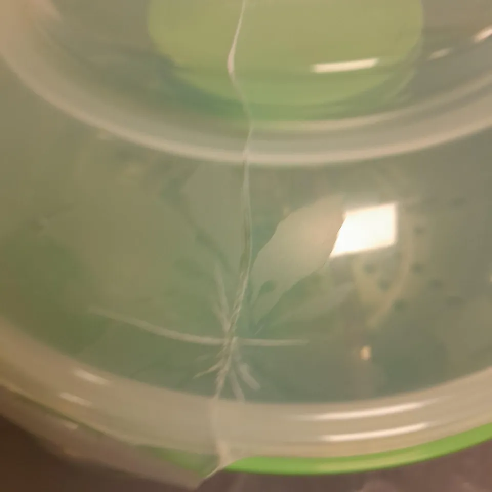 LOCK & LOCK SALAD TO GO CONTAINER 6L WITH DIVIDER