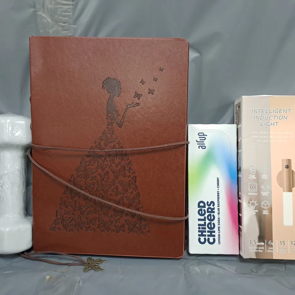 APPROXIMATELY 10 ASSORTED HOUSEHOLD ITEMS TO INCLUDE AIR UP POD, INTELLIGENT INDUCTION LIGHT, ETC