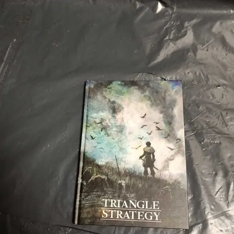 BOX OF MIXED NINTENDO BRANDED ITEMS INCLUDING: POSTERS, BANDS AND BOOKS