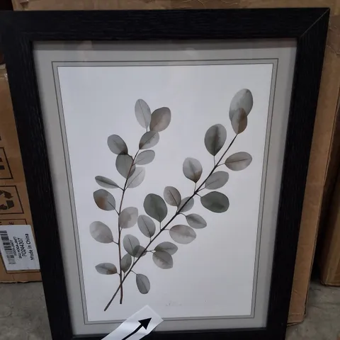 BOXED FRAMED BOTANICAL WALL ART PRINT