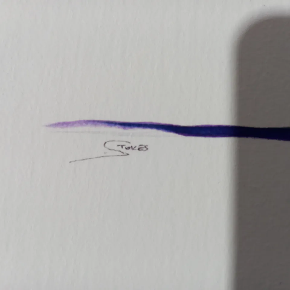 SIGNED WATERCOLOUR DRAGONFLY ART