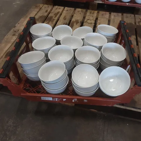 TOTE TO CONTAIN RESTAURANT BOWLS