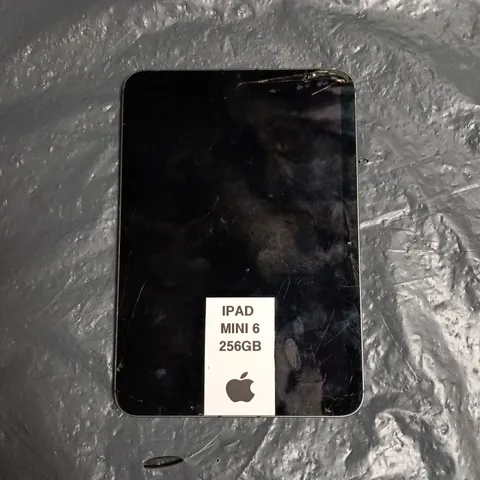 APPLE IPAD MNI 6TH GEN