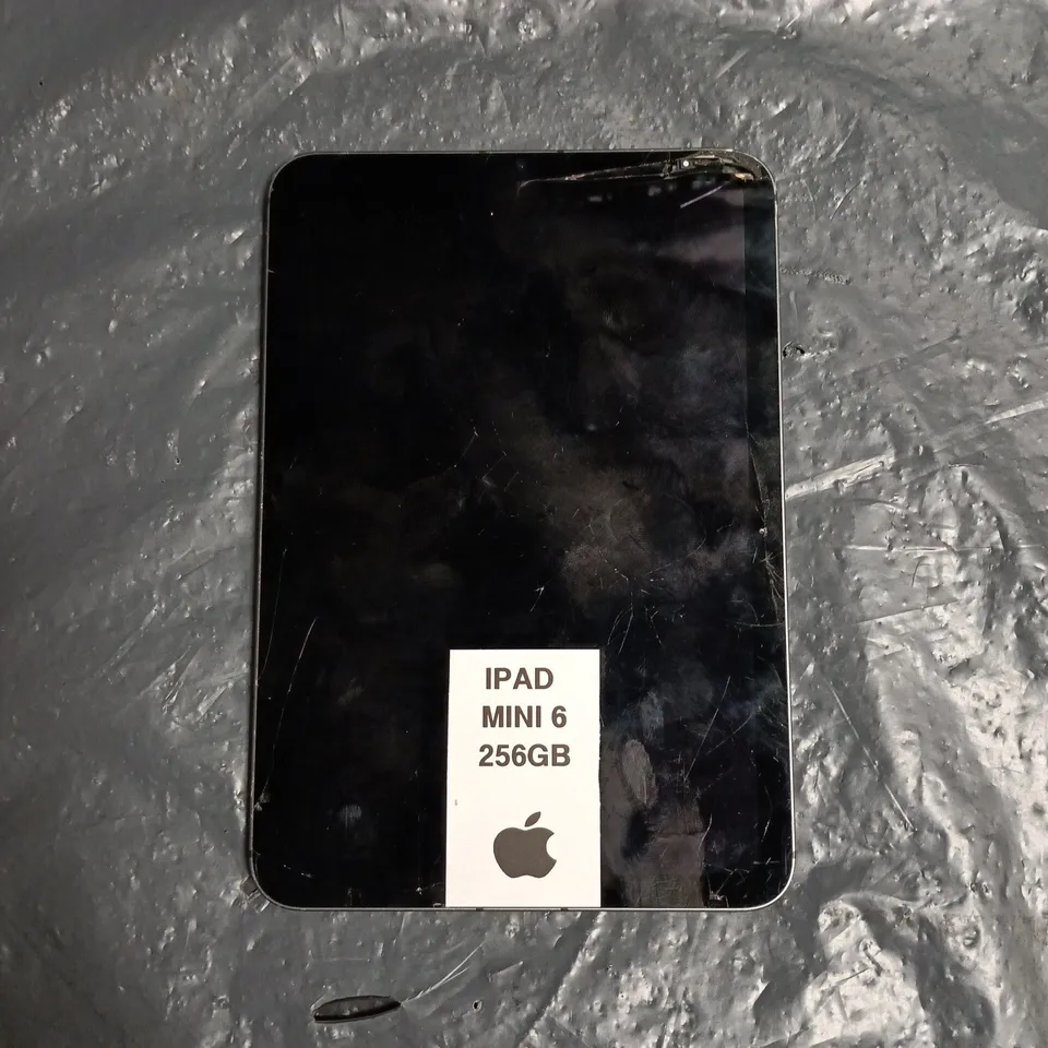 APPLE IPAD MNI 6TH GEN