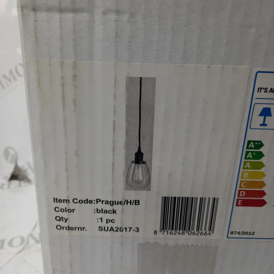 1 LIGHT MINI PENDANT IN BLACK 