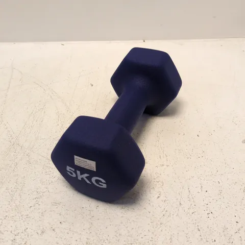 Blue 5 kg Hex Dumbbell