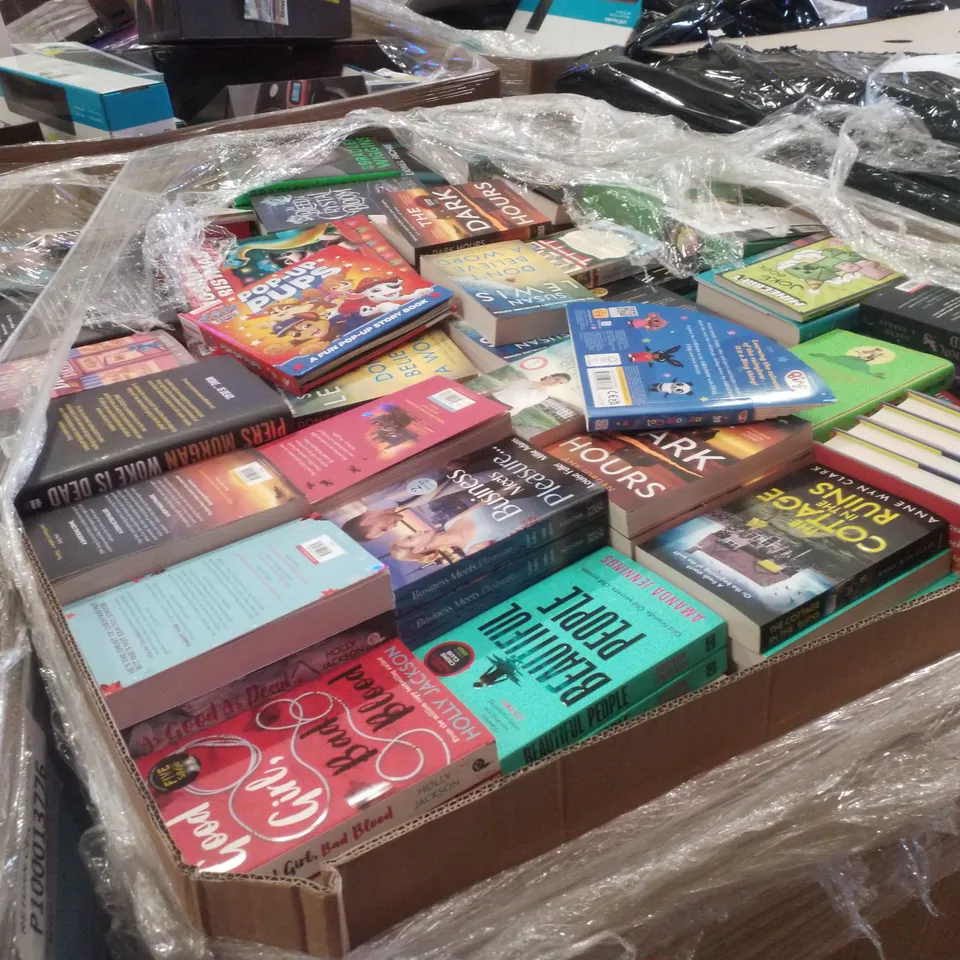 PALLET CONTAINING ASSORTED BOOKS INCLUDING THE DARK HOURS, MEGA MONSTER, FIVE SURVIVE, PITCHER PERFECT & THE COUNTDOWN KILLER