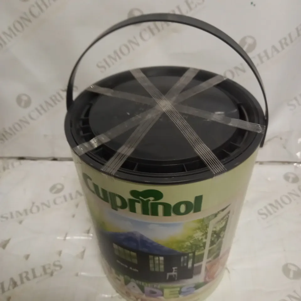 GARDEN SHADES BLACK PAINT - 5L RRP £73