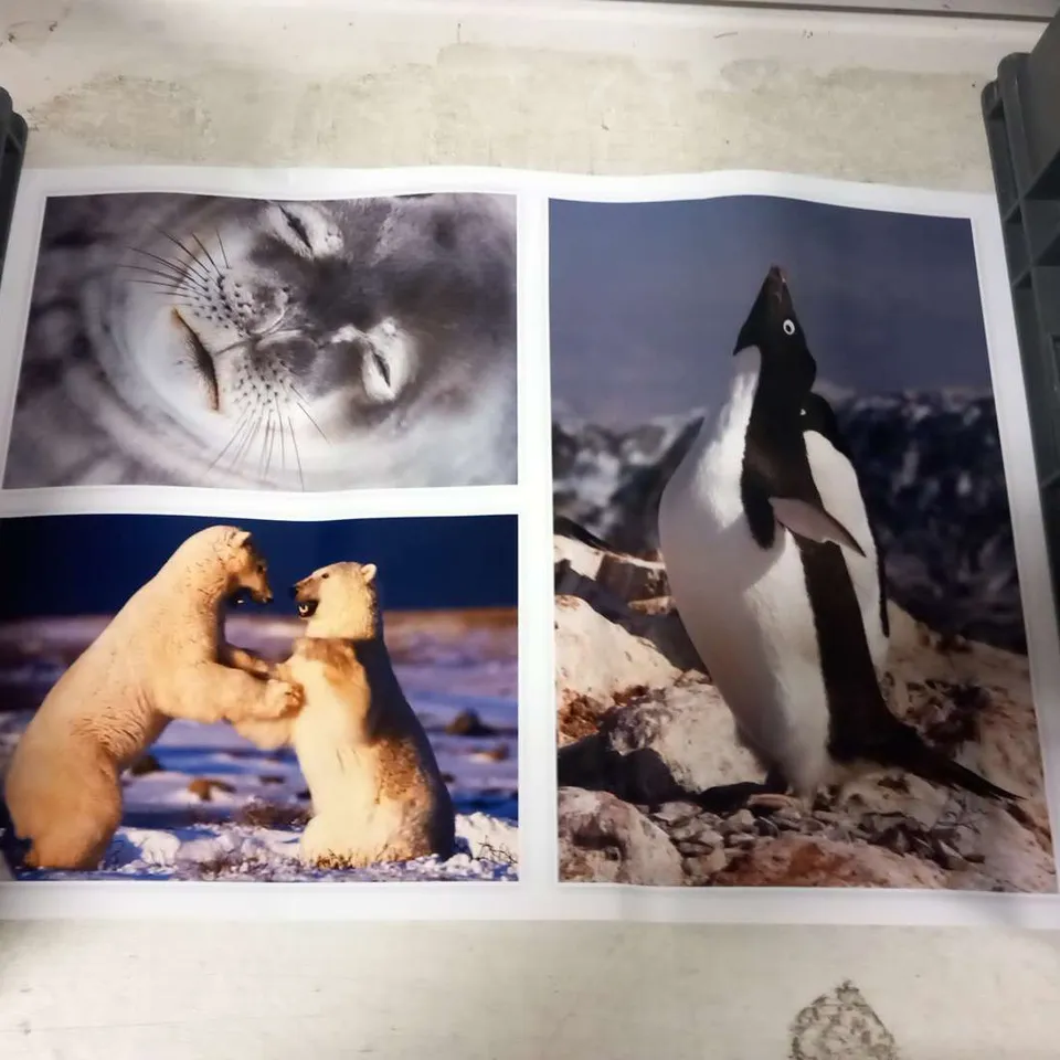 SIGNED NATURE PHOTOGRAPH MONTAGE