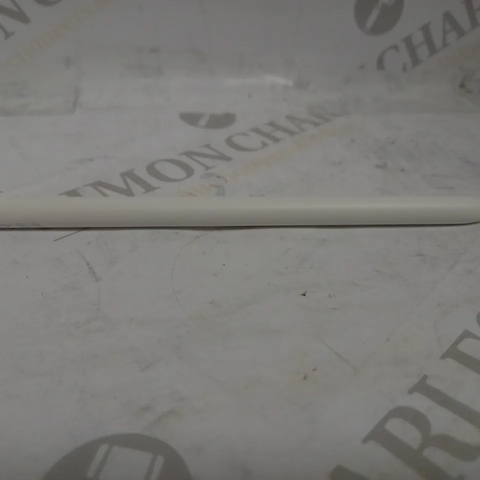 APPLE PENCIL (2ND GEN)