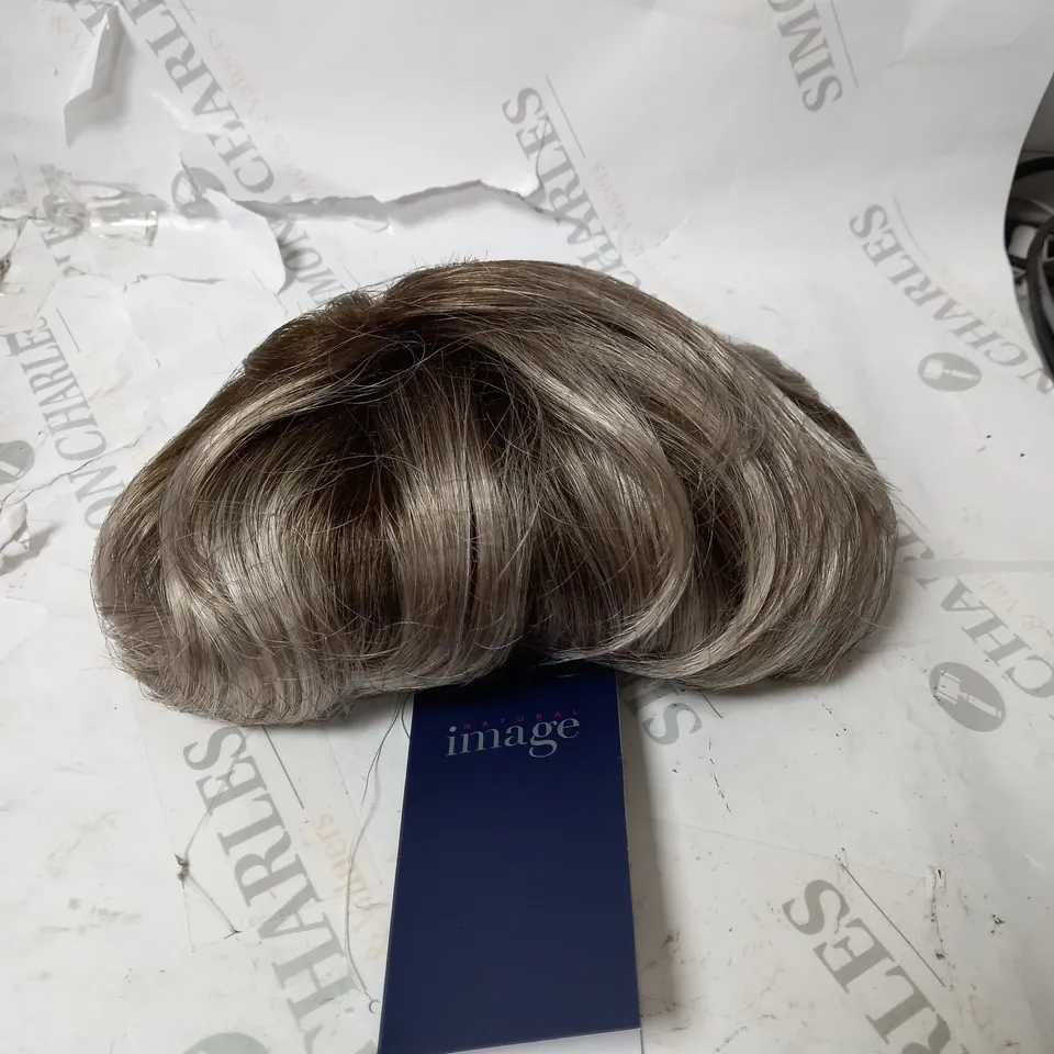 AUDACIOUS WIG BY NAUTRAL IMAGE - GREY WITH DARK HIGHLIGHTS 