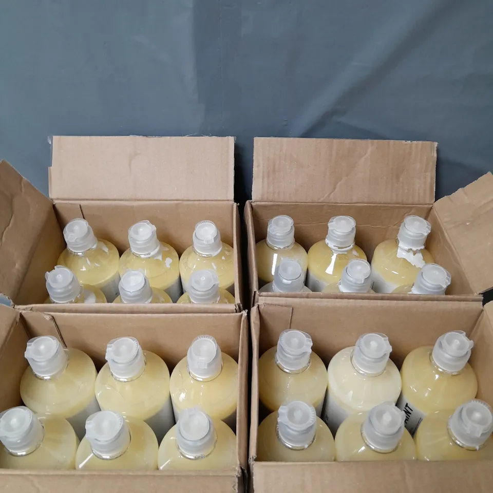 LOT OF 24 BOTTLES OF READY MIXED PAINT - WHITE - 600ML PER BOTTLE