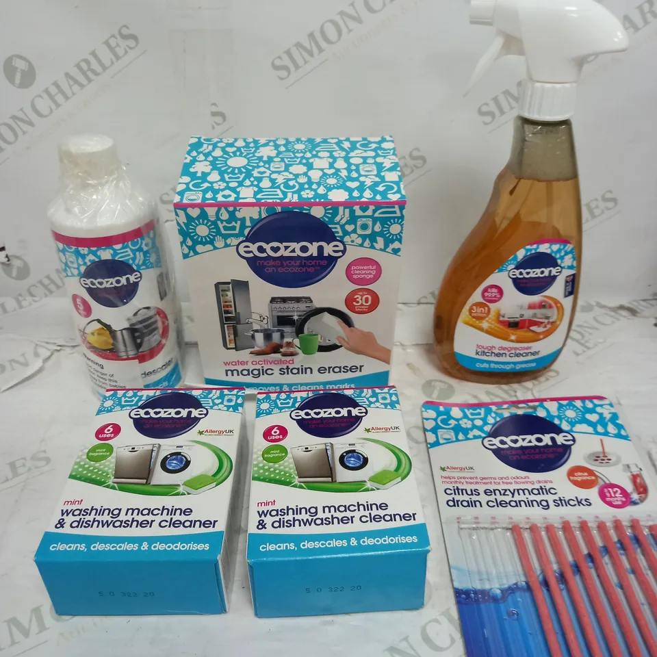 ECOZONE HOME CLEANING & DESCALING KIT