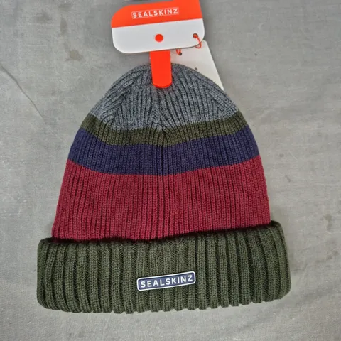 SEALSKINZ CROMER WATERPROOF COLD WEATHER ROLL CUFF STRIPED BEANIE IN MULTICOLOUR SIZE S/M