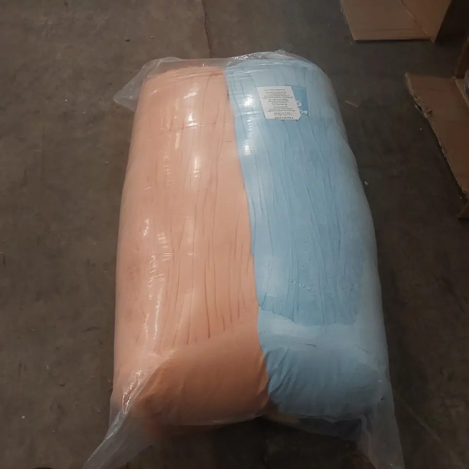 BAGGED BLUEY & BINGO PLUSH SOFA 