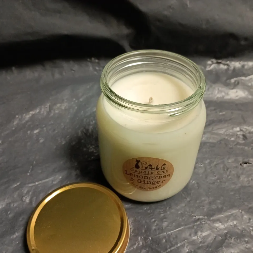 CANDLE CAT LEMONGRASS & GINGER SOY WAX CANDLE 