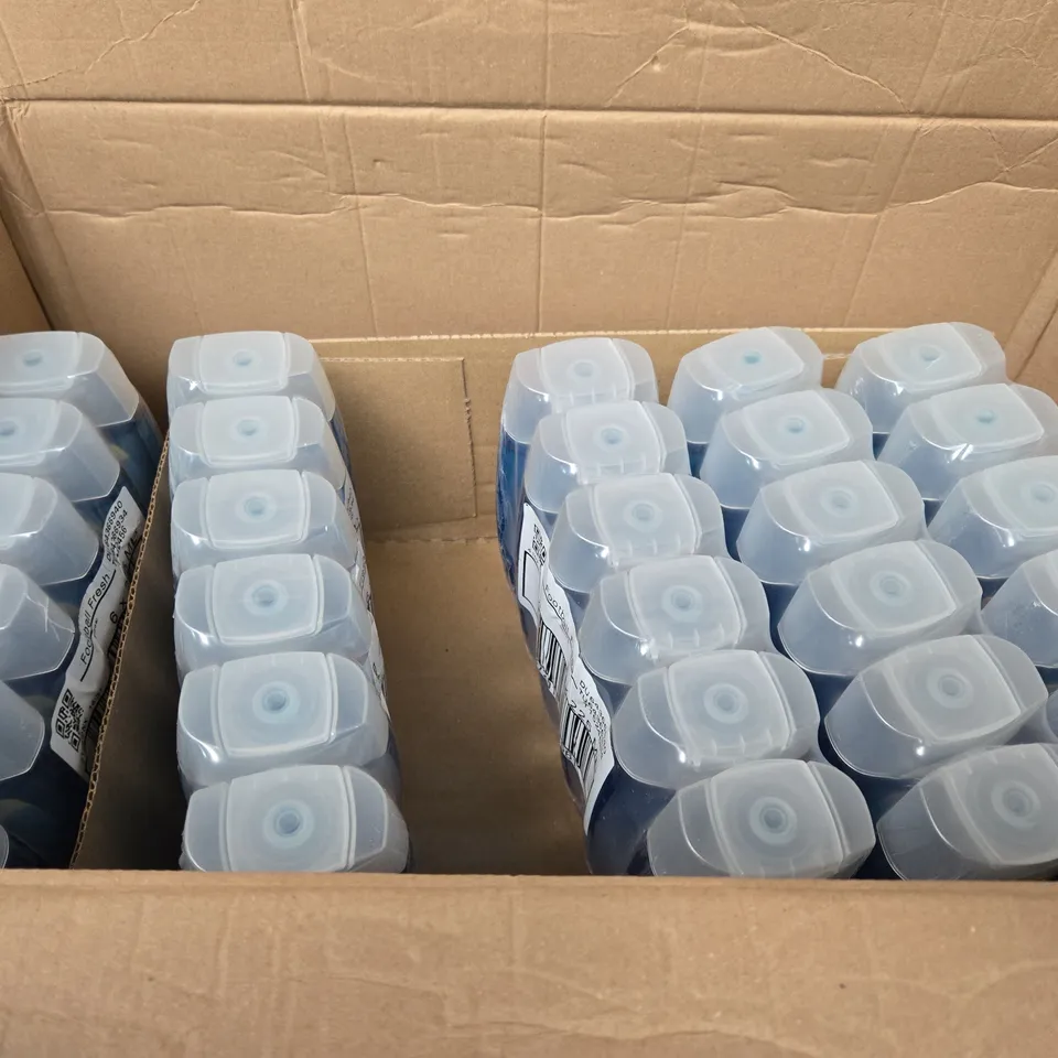 BOX OF 6 6 PACKS OF RADOX FOODBALL FRESH SHOWER GEL 