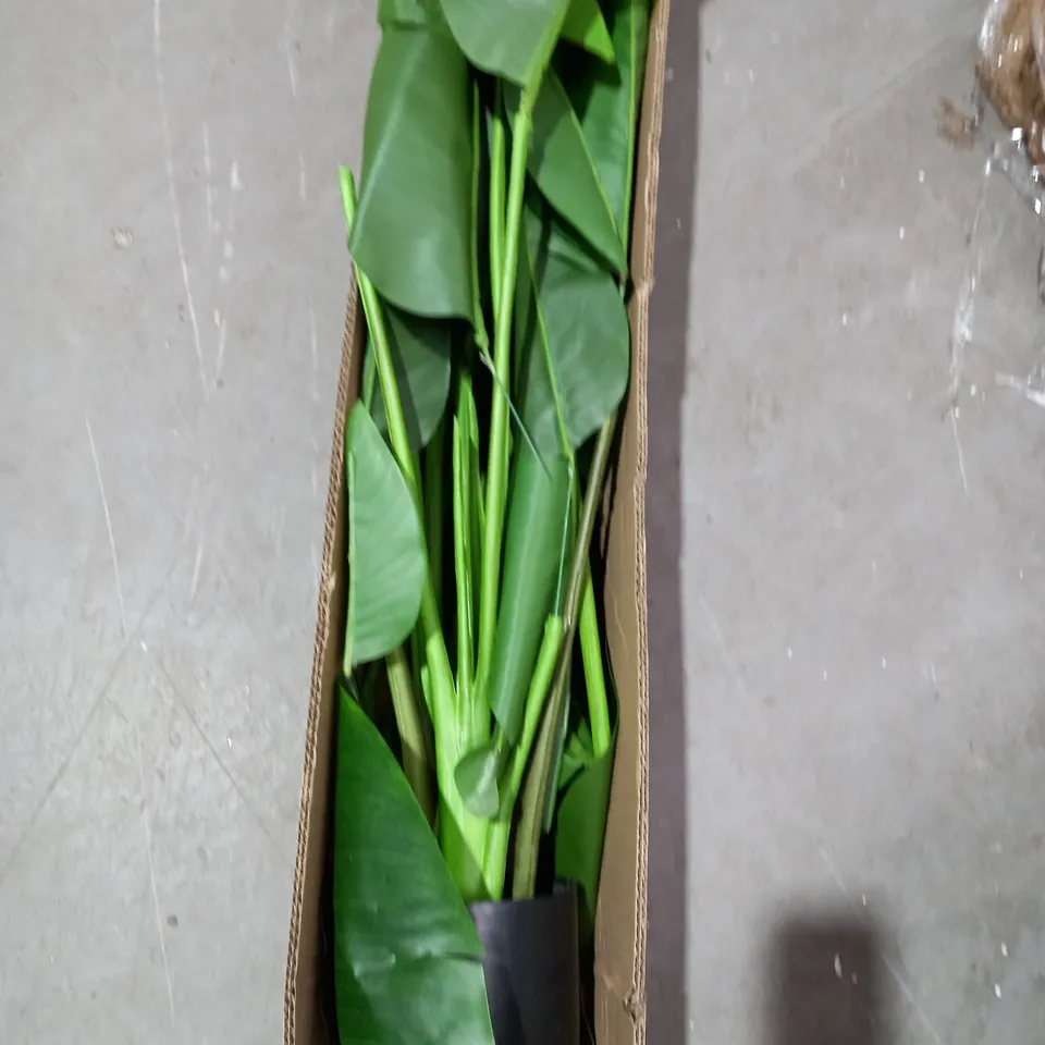 INNOVATORS FAUX BANANA LEAF X2