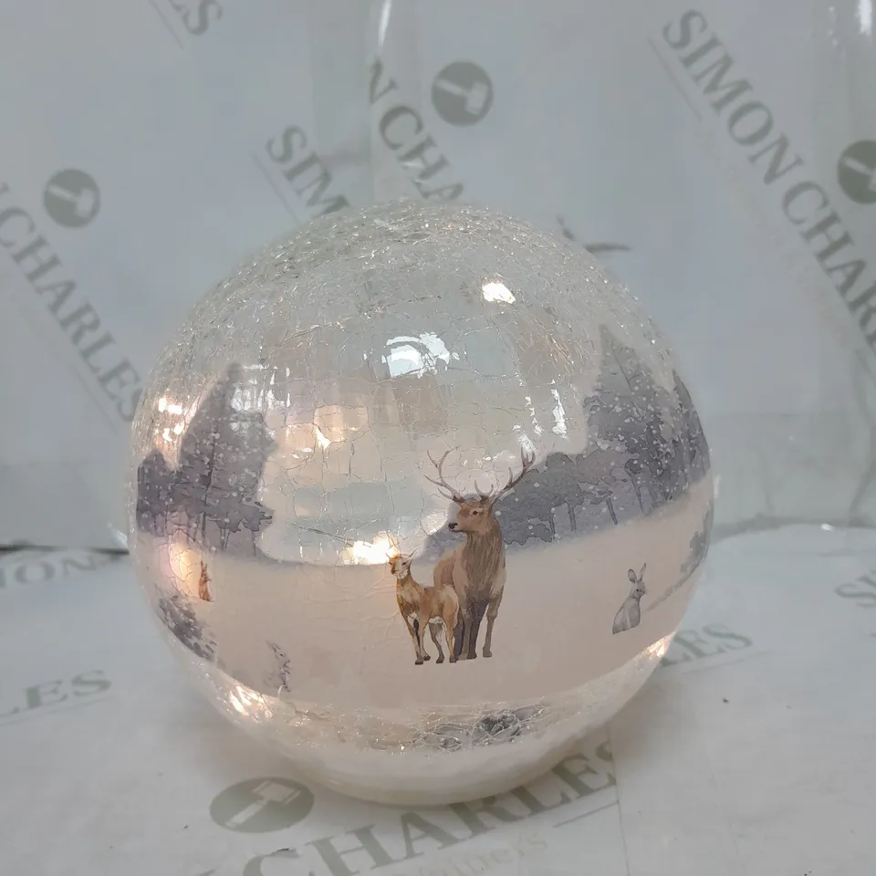 BOXED GALSS GLOBE WITH LED LIGHTING