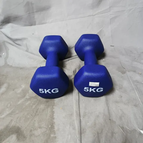 PAIR OF 5KG BLUE VINYL-COATED HEX DUMBBELLS