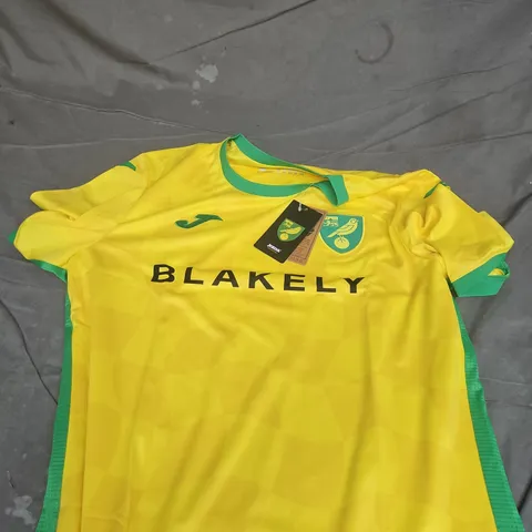NORWICH CITY 2025/26 HOME SHIRT - XL