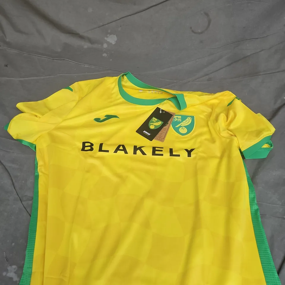 NORWICH CITY 2025/26 HOME SHIRT - XL